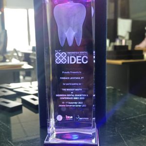 CRYSTAL 3D - MODEL GIGI